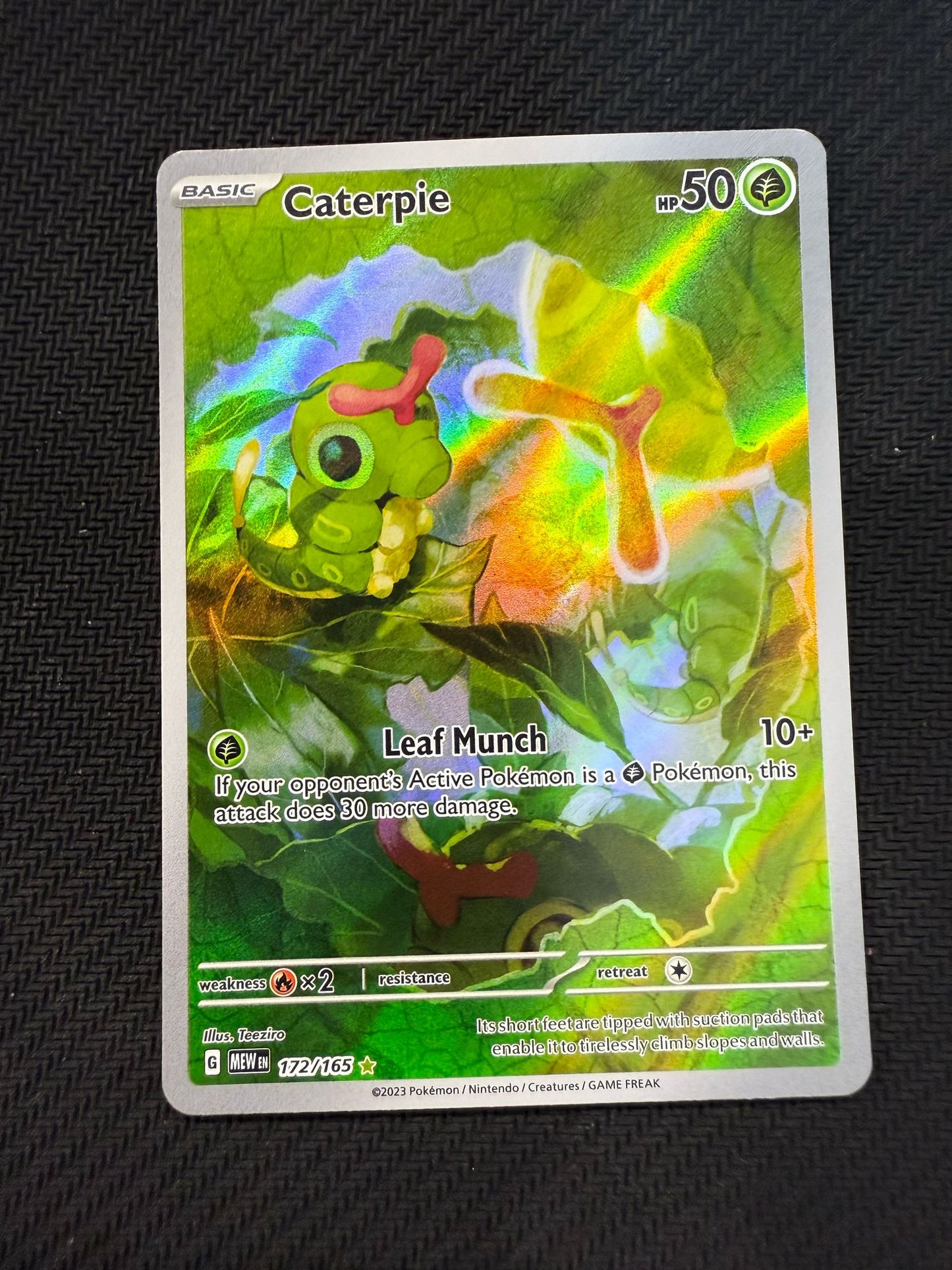 Caterpie
