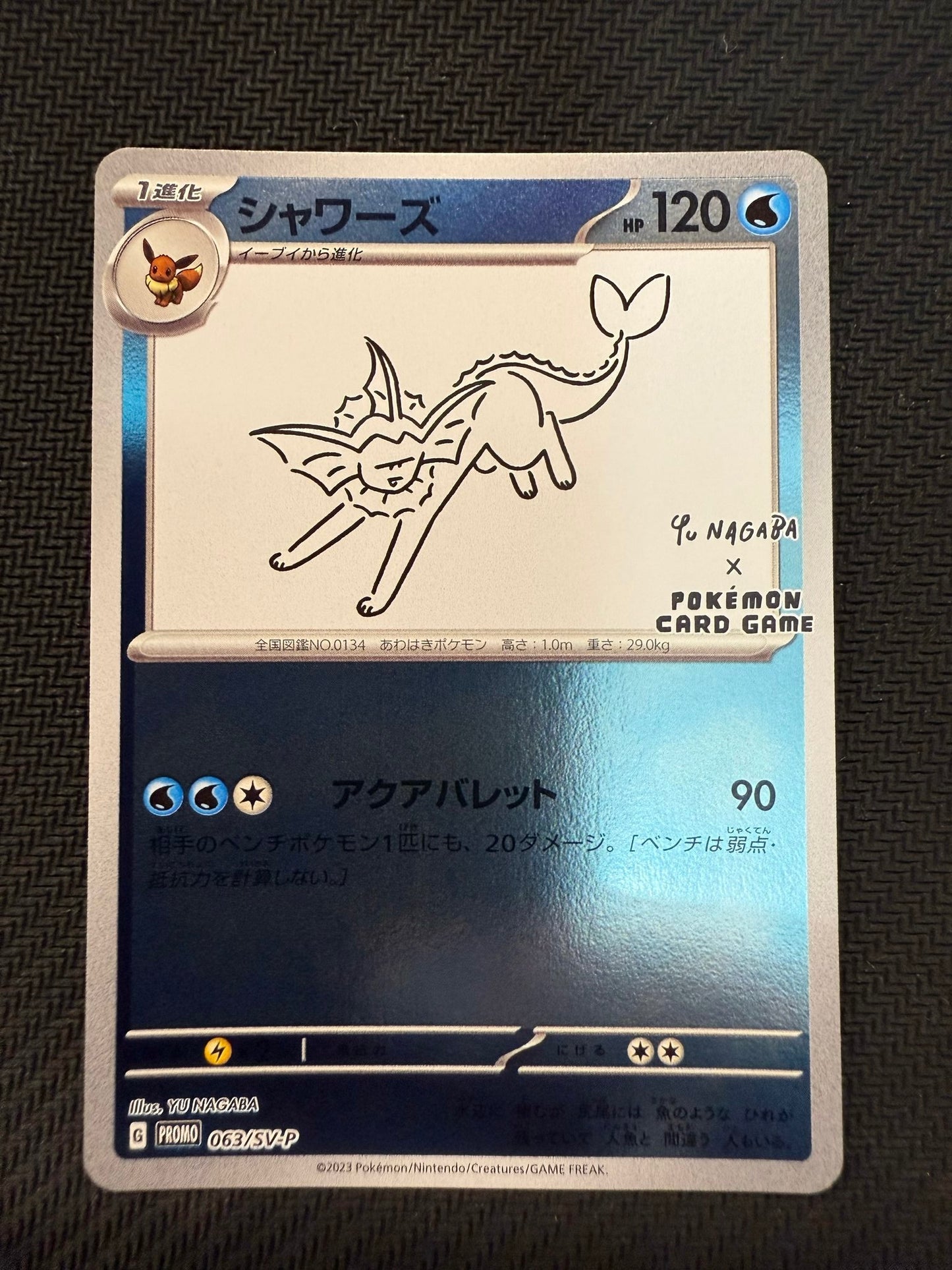 Yu Nagaba Vaporeon
