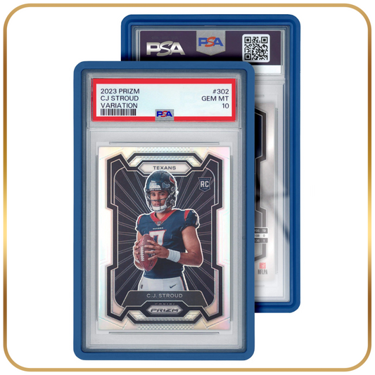SAPPHIRE Standard Case (PSA)